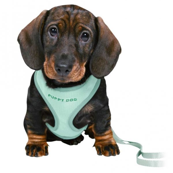 Trixie Junior Welpen-Softgeschirr mit Leine - hellgrau – Bild 5